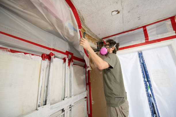 Best Water Damage & Mold Remediation  in Iowa City, IA
