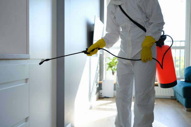 Mold Odor Removal Services in Iowa City, IA