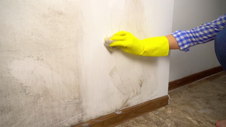 Best Water Damage & Mold Remediation  in Iowa City, IA