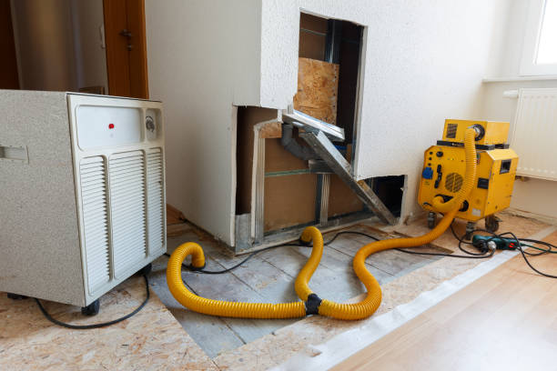 Best Post-Remediation Verification Testing  in Iowa City, IA