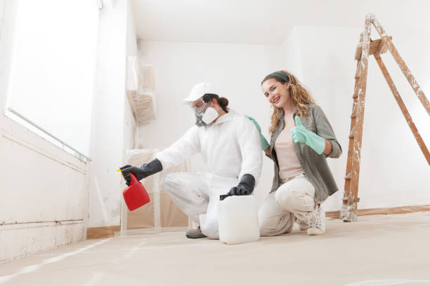 Best Industrial Mold Remediation  in Iowa City, IA