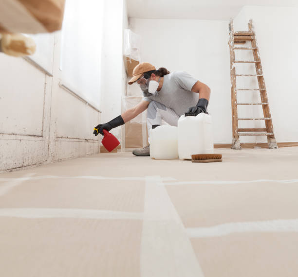 Mold Remediation for Rental Properties in Iowa City, IA