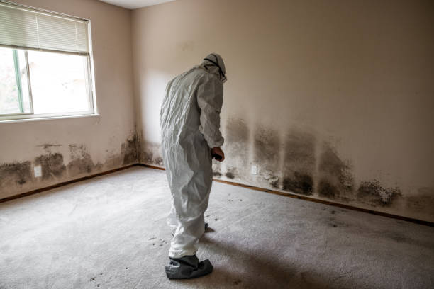 Best Forensic Mold Investigation  in Iowa City, IA